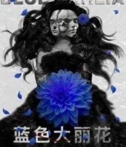 藍(lán)色大麗花劇本殺