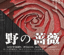 野の薔薇/野之薔薇劇本殺復盤_真相答案_線索解析_故事還原結局【二郎推理社】