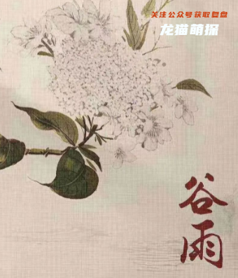 紅豆劇本殺角色測評