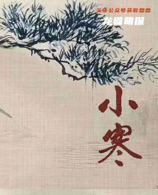 紅豆劇本殺(小寒)體驗測評