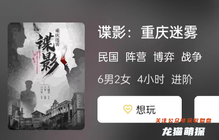 諜影:重慶迷霧劇本殺復盤